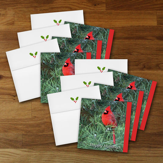 Set of 6 Cardinal Designer Holiday Cards