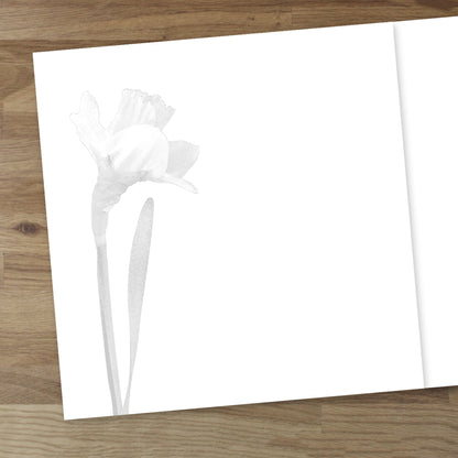 Set of 10 Daffodils Designer Greeting Cards