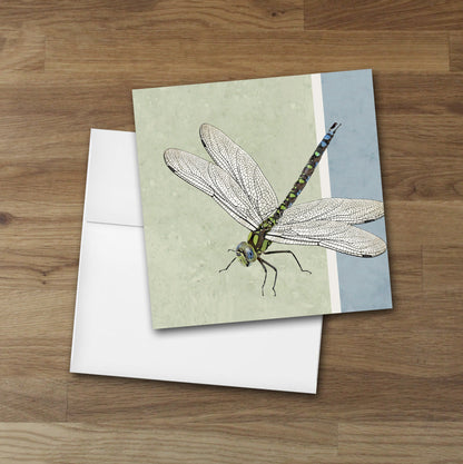 Set of 10 Dragonfly Designer Greeting Cards