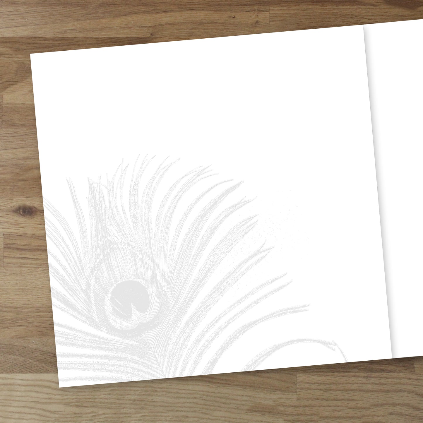 Set of 10 Peacock Feather Designer Greeting Cards