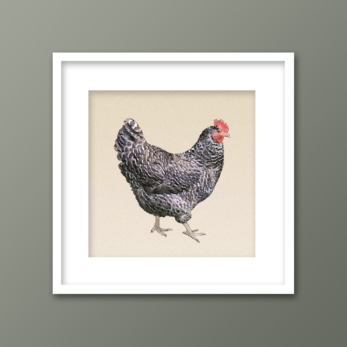 Set of 3 Framed Chickens Fine Art Prints