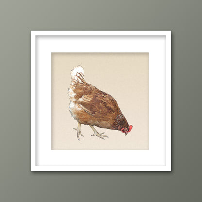 Set of 3 Framed Chickens Fine Art Prints