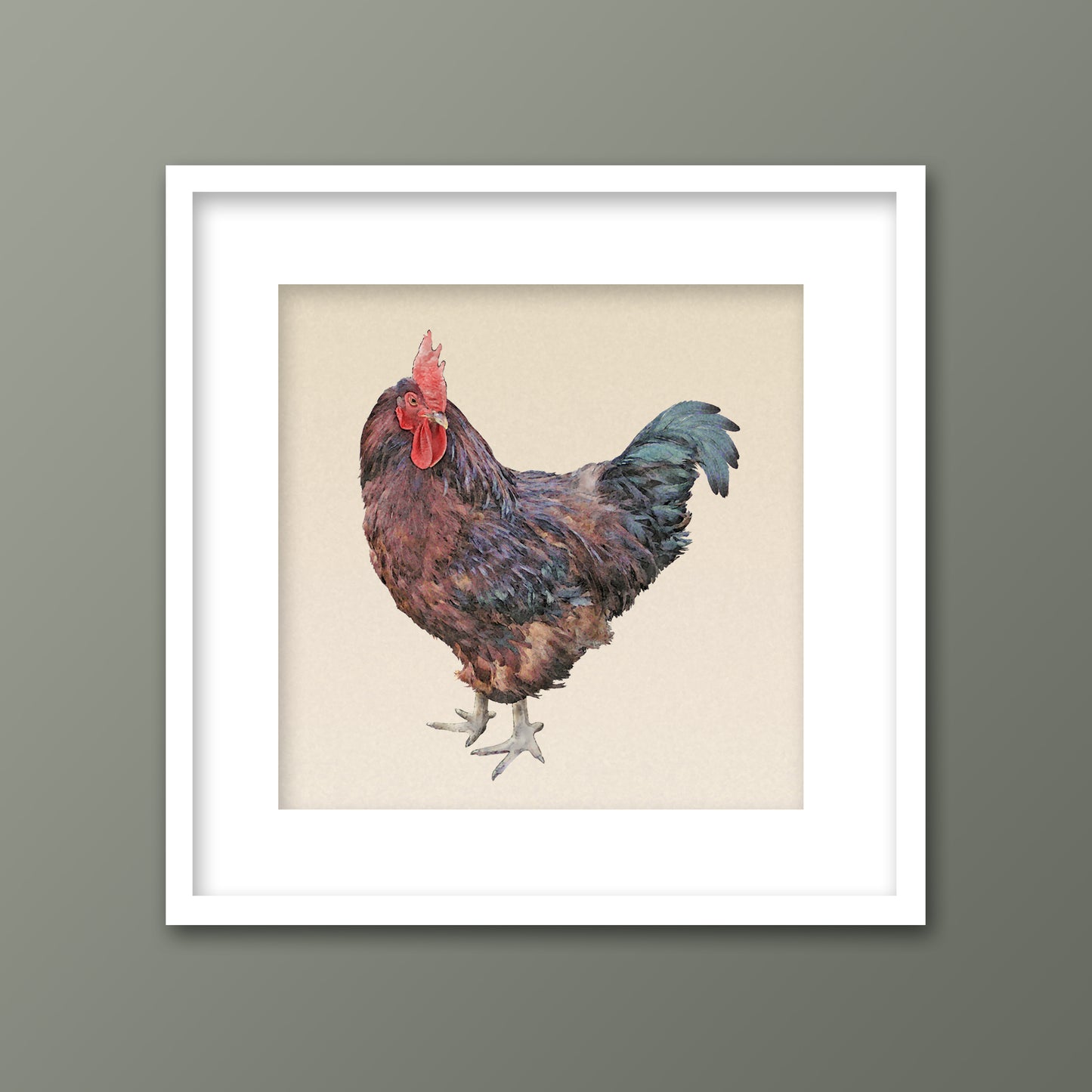 Rhode Island Red Rooster Framed Fine Art Print