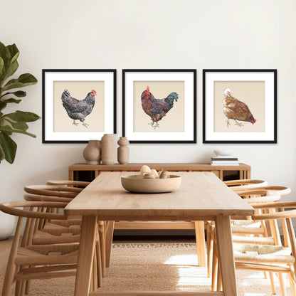 Set of 3 Framed Chickens Fine Art Prints