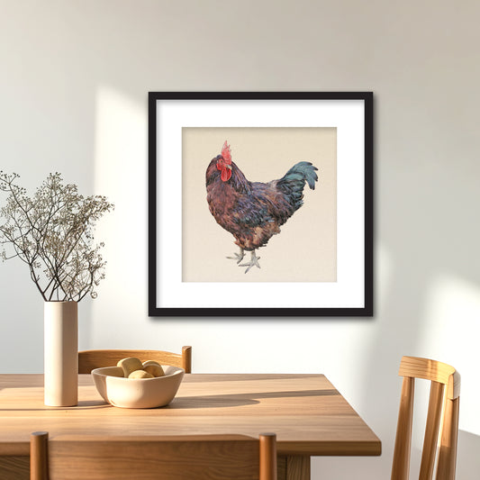 Rhode Island Red Rooster Framed Fine Art Print