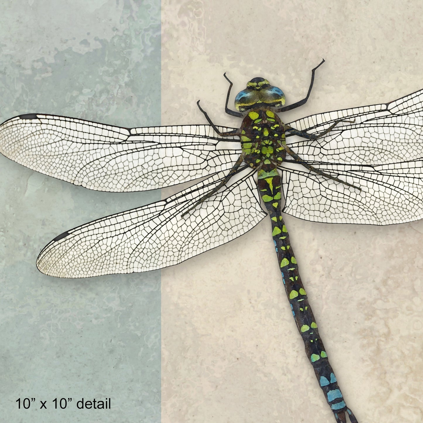 Set of 2 Dragonfly Designer Pillows, 18"x18" and 20"x14"