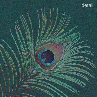 Set of 10 Peacock Feather Designer Greeting Cards