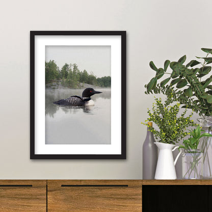 Loon on the Water Framed Fine Art Print