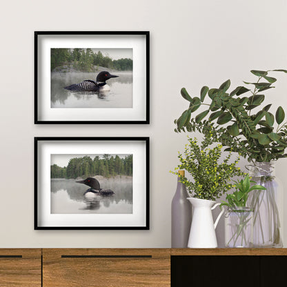 Set of 2 Framed Lake Loon Fine Art Prints