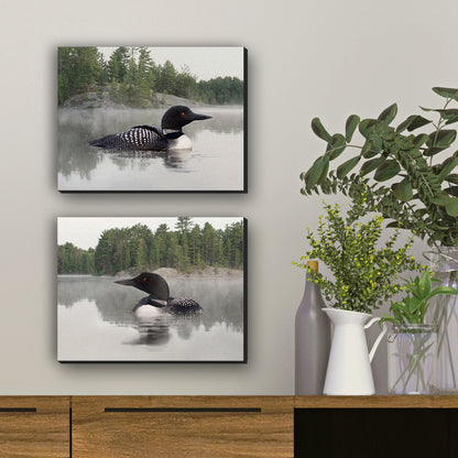 Set of 2 Loon Wrapped Canvas Prints