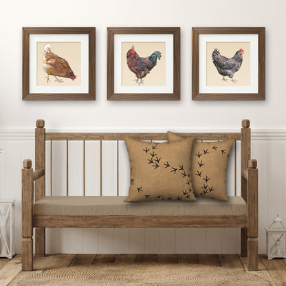 Set of 3 Chicken Fine Art Prints, Unframed