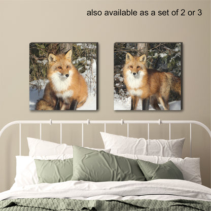 Watchful Fox Wrapped Canvas Print