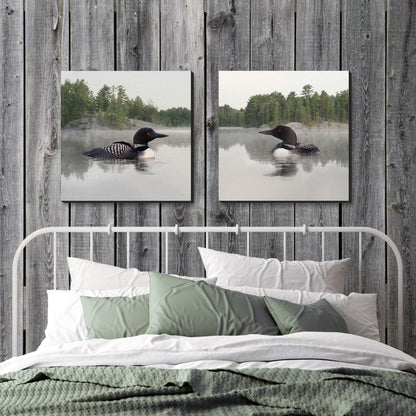 Set of 2 Loon Wrapped Canvas Prints