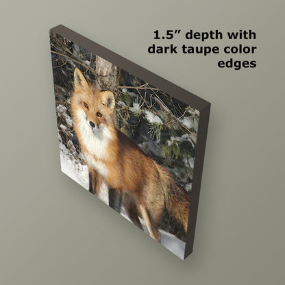 Watchful Fox Wrapped Canvas Print