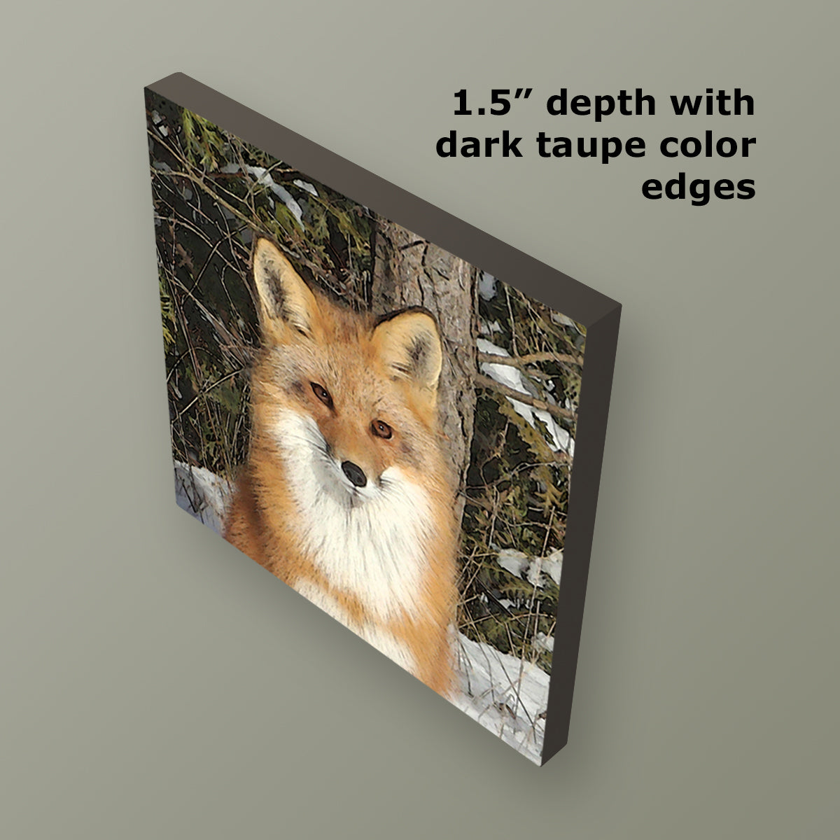 Red Fox Wrapped Canvas Print