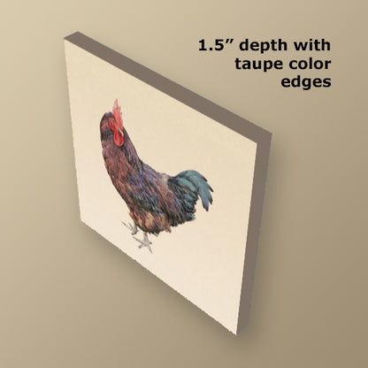 Rhode Island Red Rooster Wrapped Canvas Print