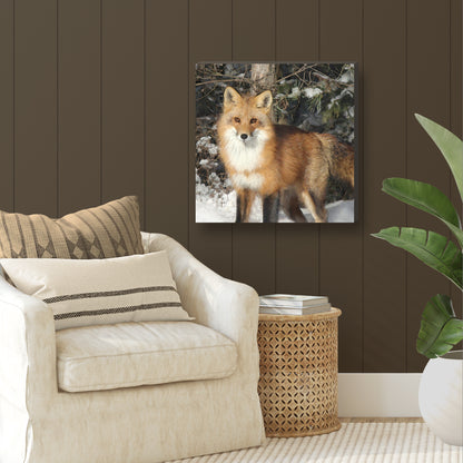 Watchful Fox Wrapped Canvas Print