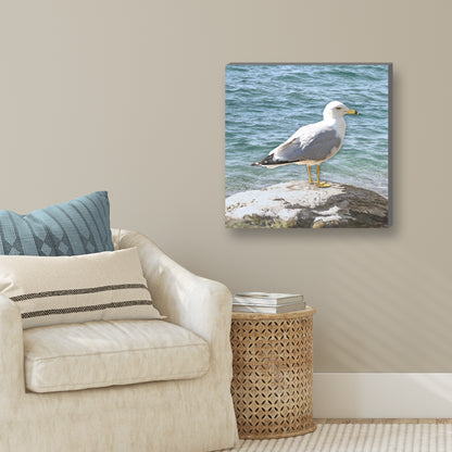 Seagull on a Rock Wrapped Canvas Print