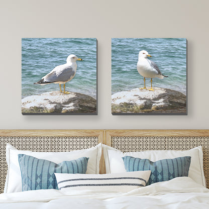 Set of 2 Seagull Wrapped Canvas Prints