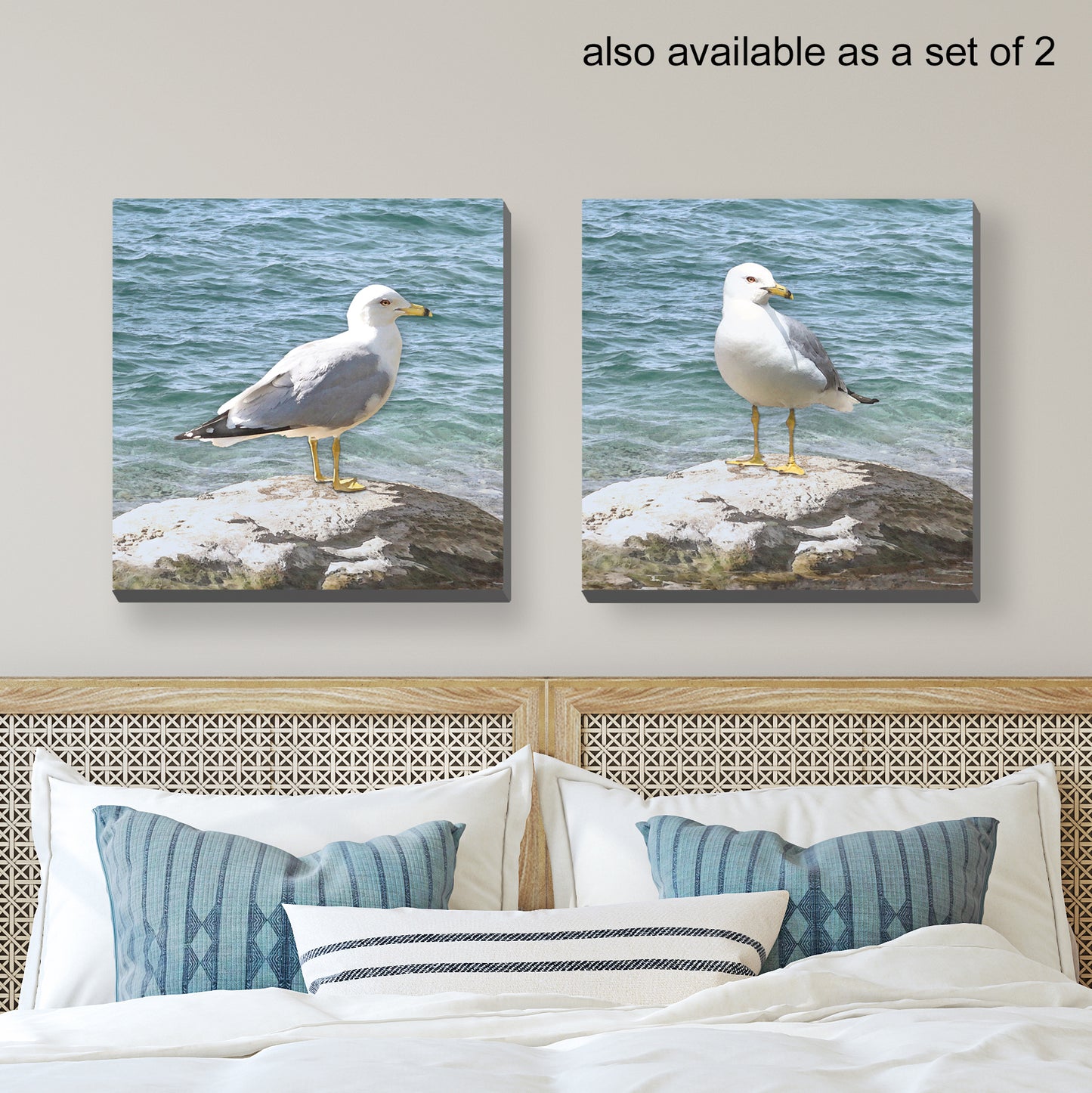 Seagull on a Rock Wrapped Canvas Print