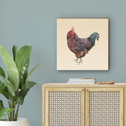 Rhode Island Red Rooster Wrapped Canvas Print