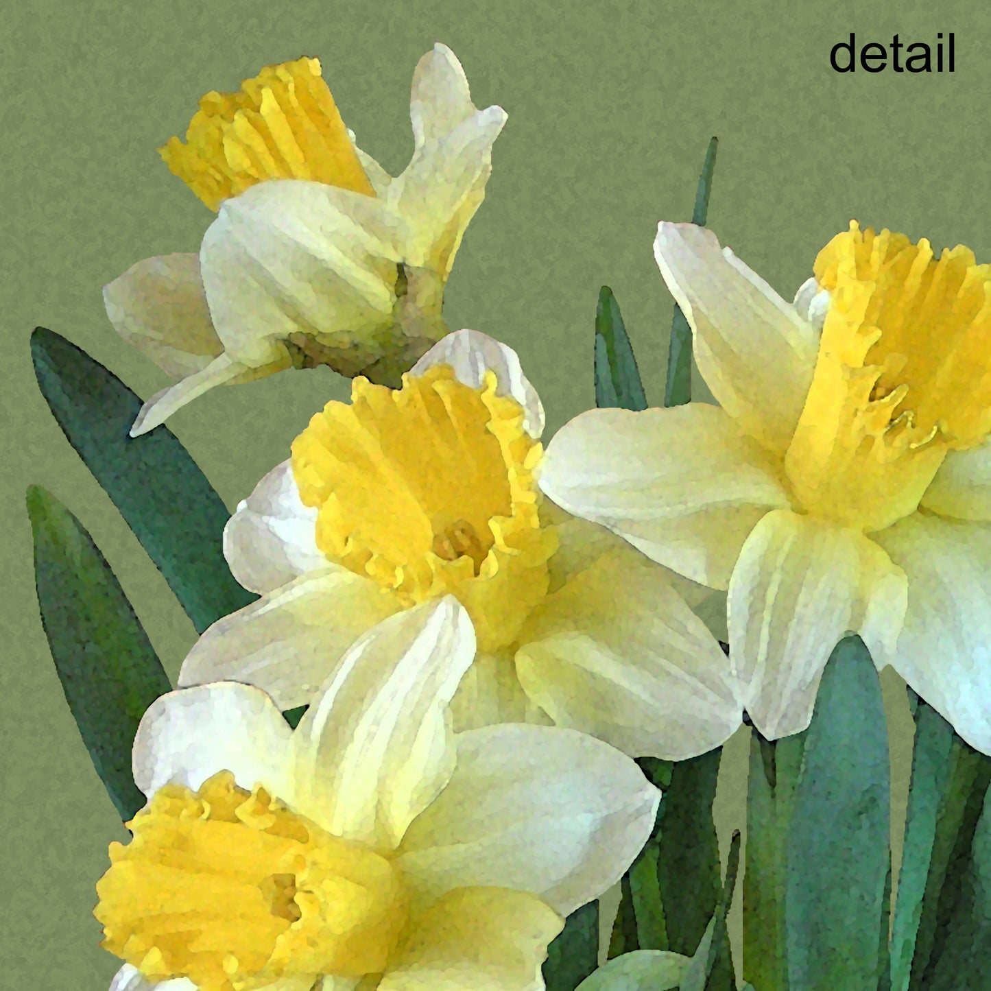 Sunny Daffodils Fine Art Print, Unframed
