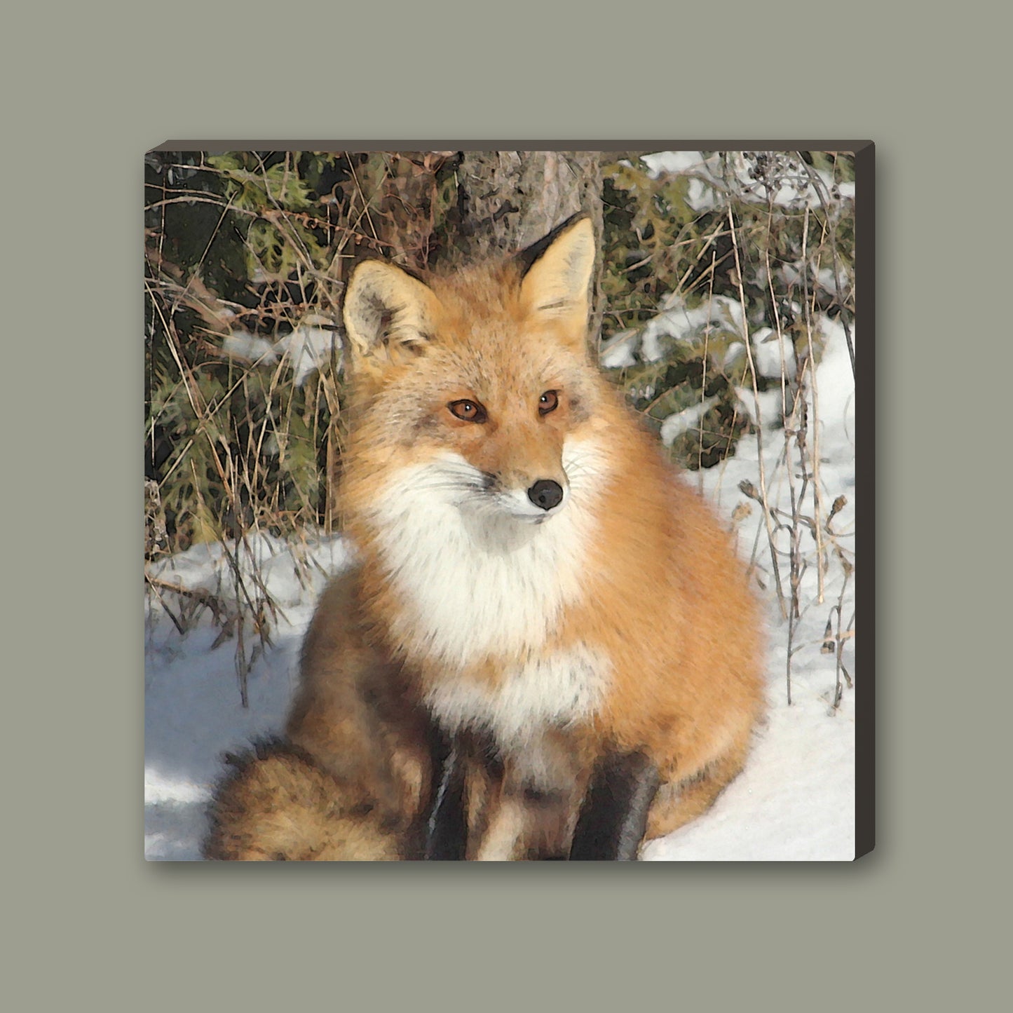 Set of 2 Fox Wrapped Canvas Prints