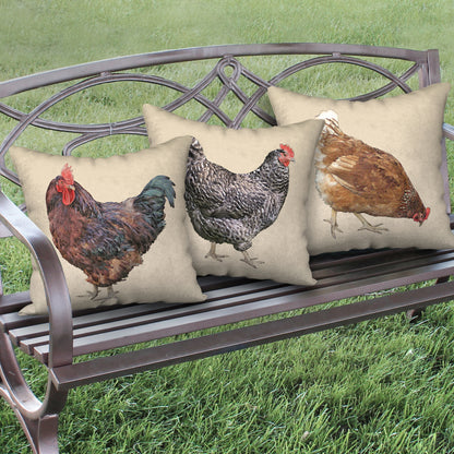 Set of 3 Chicken Designer Pillows, 18"x18"