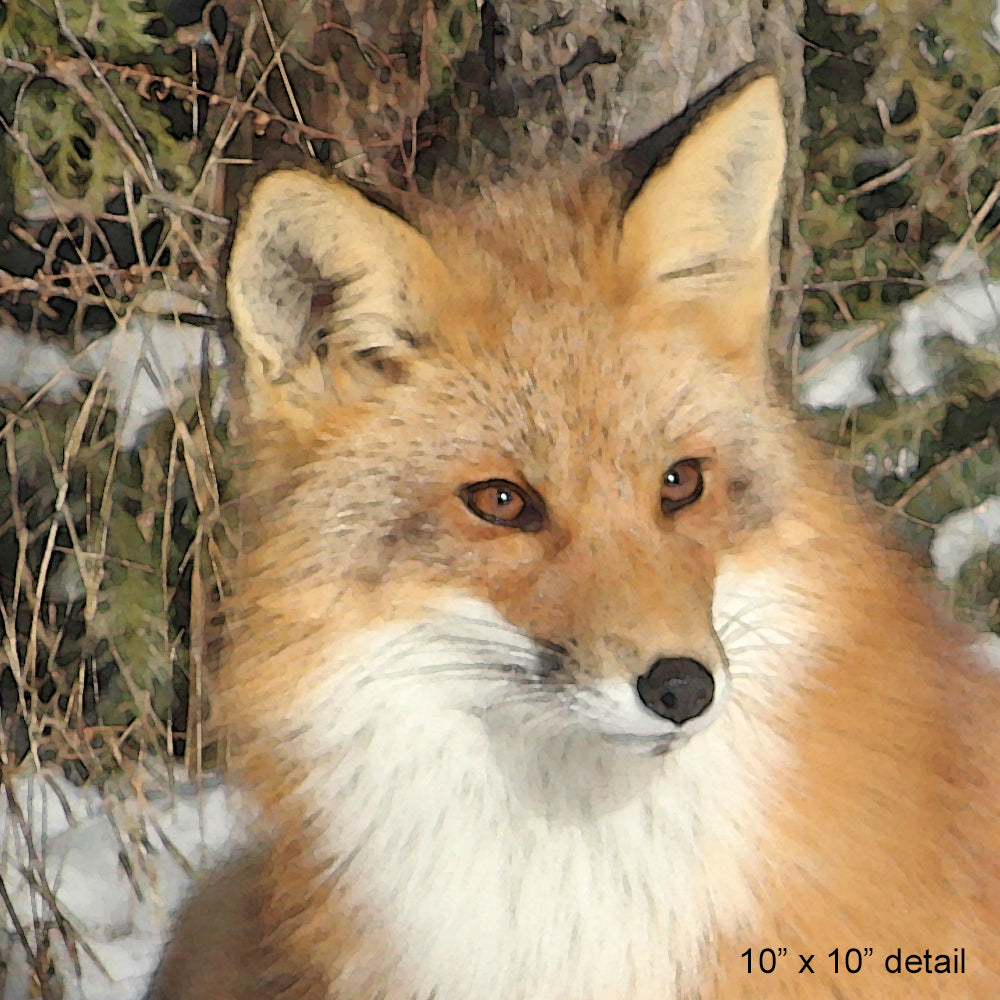 Set of 2 Red Fox Designer Pillows, 18"x18"