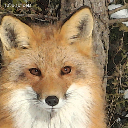 Red Fox Designer Pillow, 18"x18"