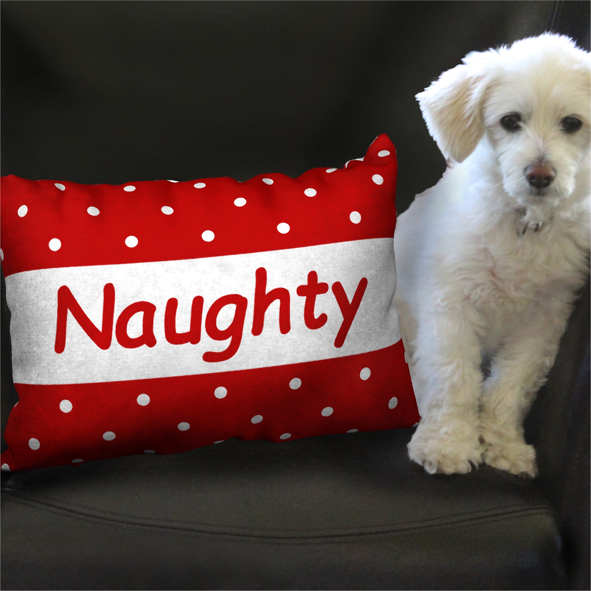 Naughty or Nice Christmas Pillow With Insert / Lumbar Pillow Single or  Double Sided Reversible Holiday Pillow 