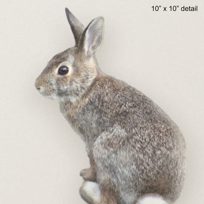 Cottontail Bunny Designer Pillow, 18"x18"