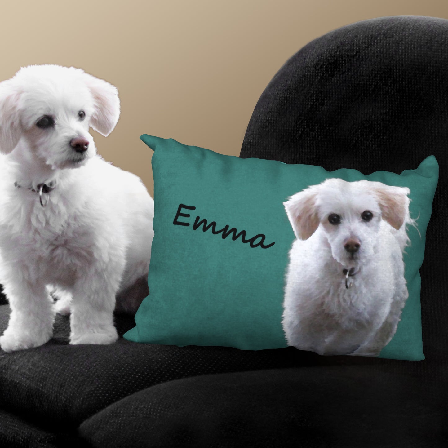 Personalized Pet Pillow from Your Photo, 20"x14" or 18"x18"