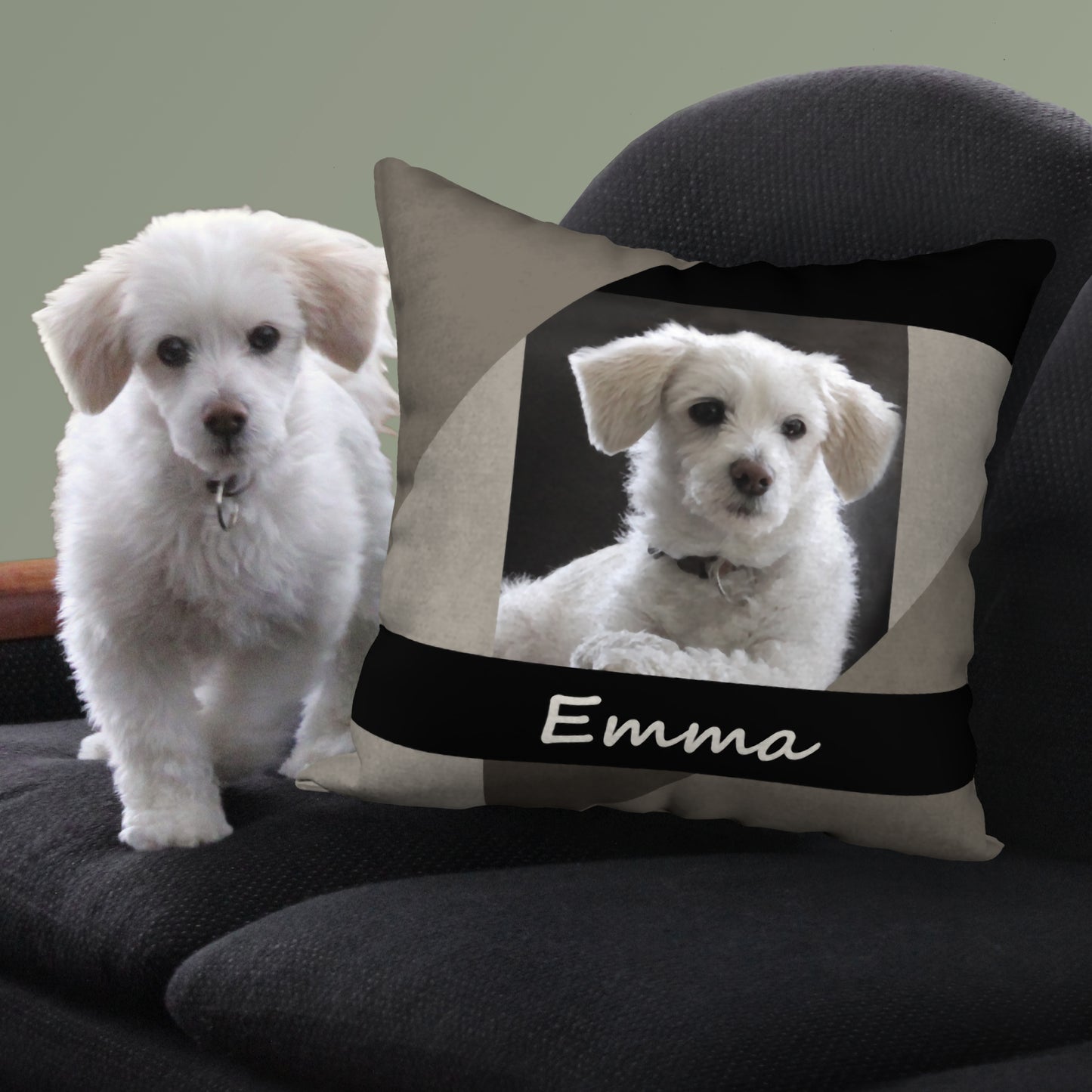 Custom Designer Pet Pillow from Your Photo, 18"x18"