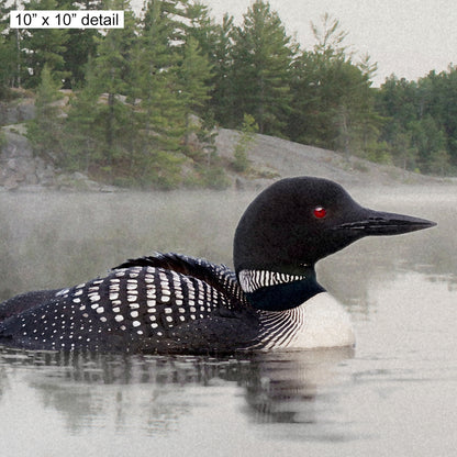 Loon on the Water Designer Pillow, 18"x18"