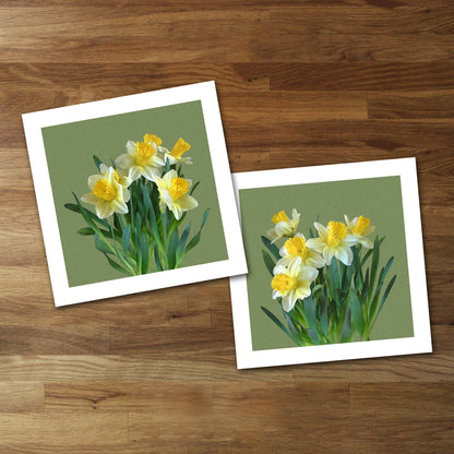 Set of 2 Daffodil Fine Art Prints, Unframed