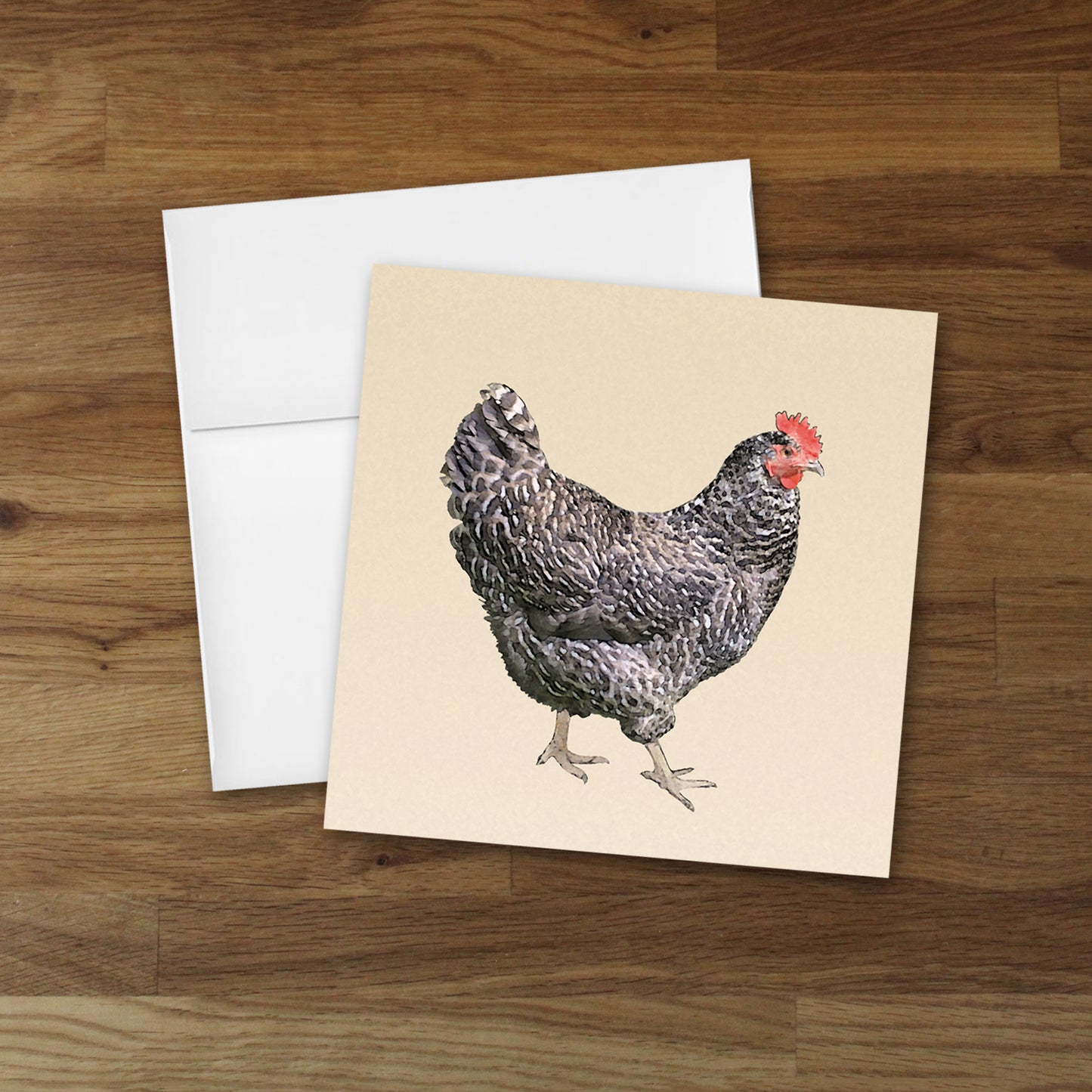 Barred Plymouth Rock Hen Designer Greeting Card