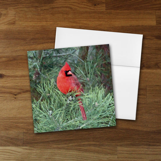 Red Cardinal Designer Greeting Card