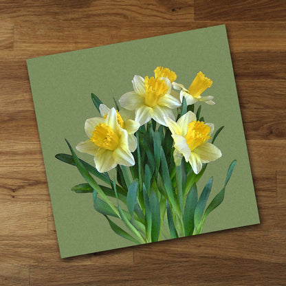 Daffodil Bouquet Fine Art Print, Unframed