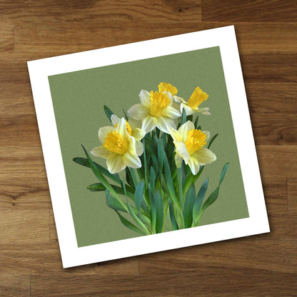 Daffodil Bouquet Fine Art Print, Unframed