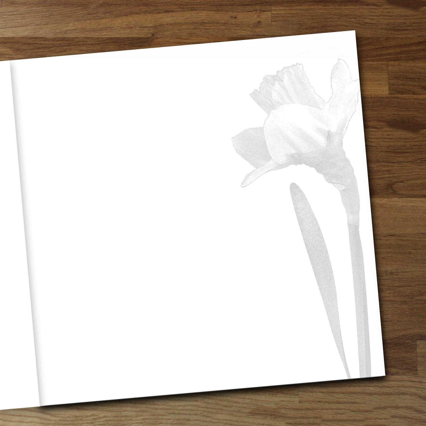 Set of 6 Daffodil Designer Greeting Cards