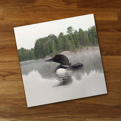 Lake Loon Fine Art Print, Unframed