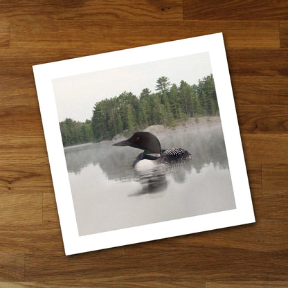 Lake Loon Fine Art Print, Unframed