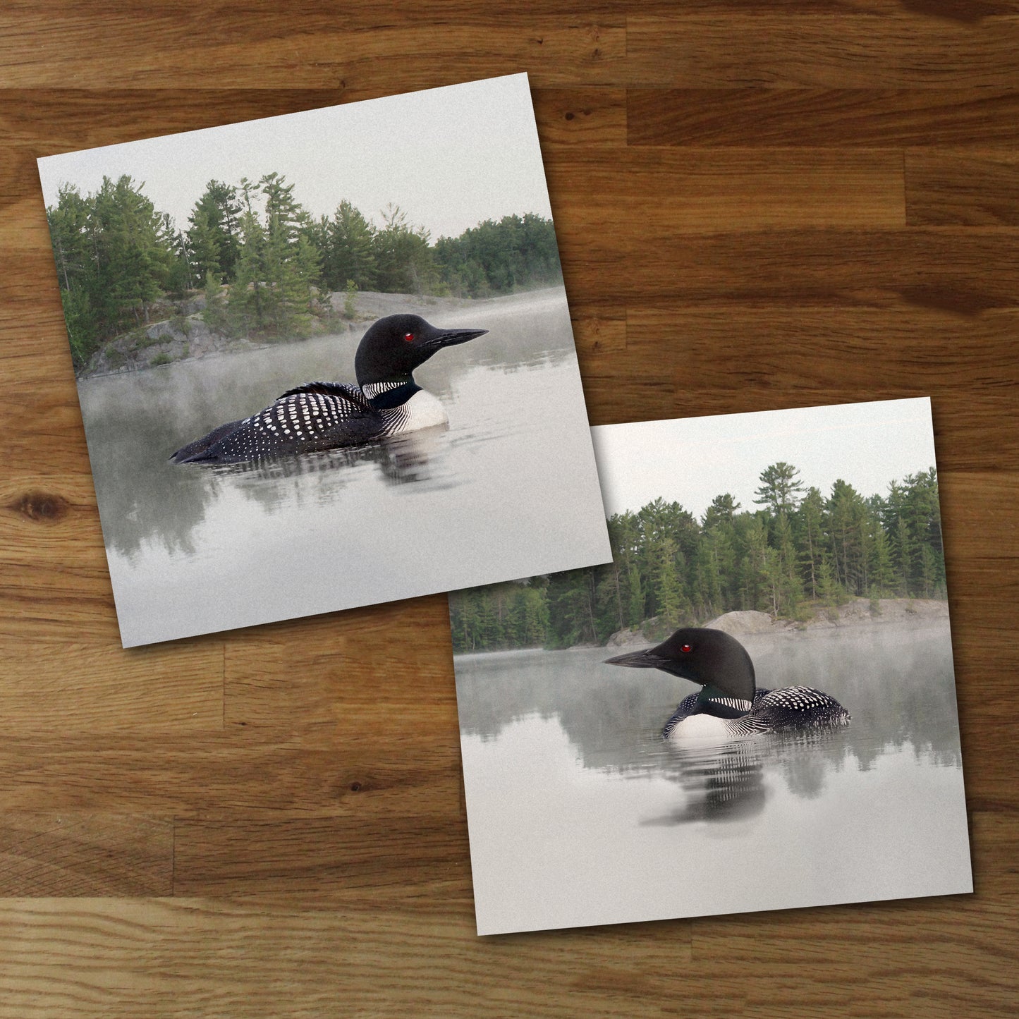 Set of 2 Lake Loon Fine Art Prints, Unframed