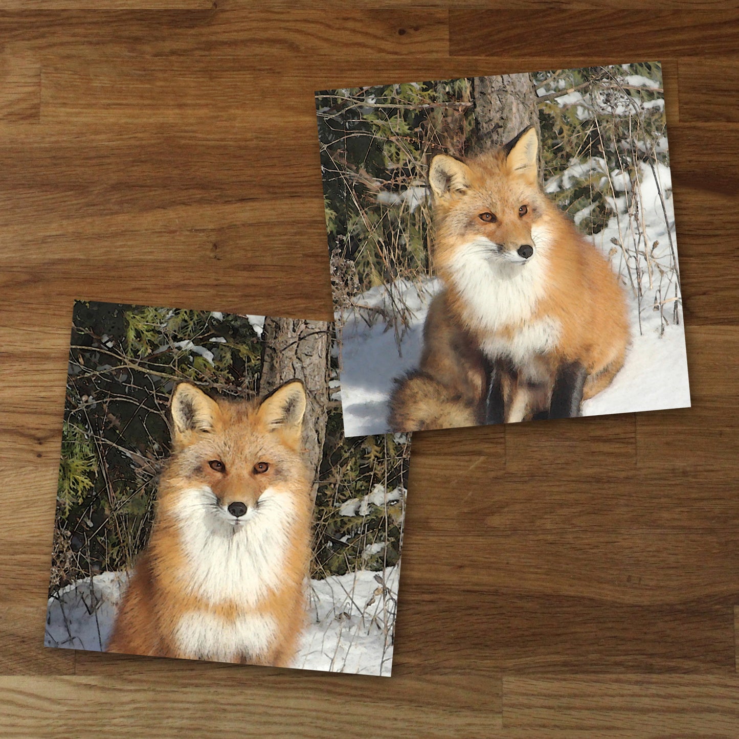 Set of 2 Red Fox Fine Art Prints, Unframed