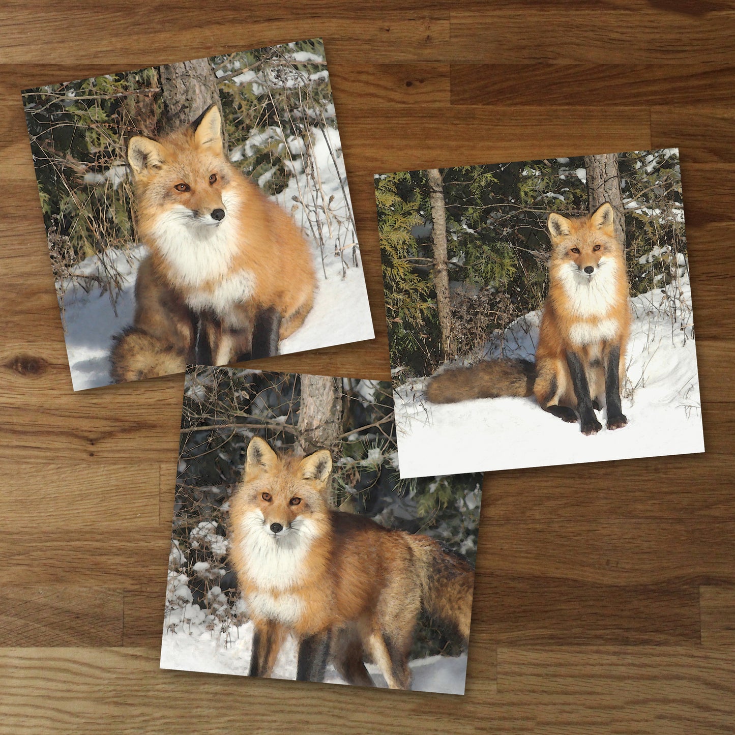 Set of 3 Fox Fine Art Prints, Unframed