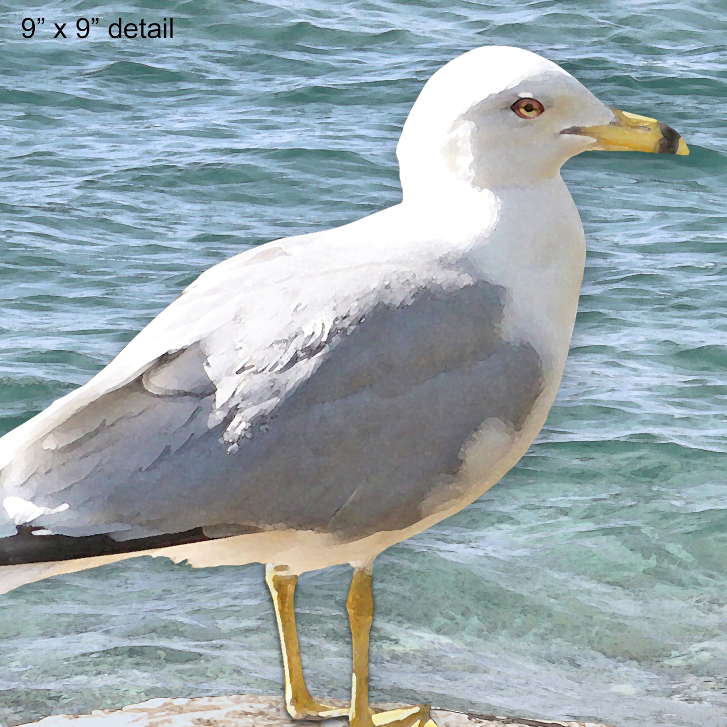 Seagull on a Rock Designer Pillow, 18"x18"