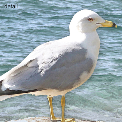 Set of 2 Seagull Wrapped Canvas Prints