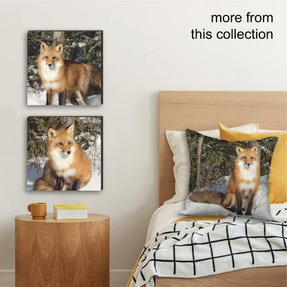 Curious Fox Wrapped Canvas Print