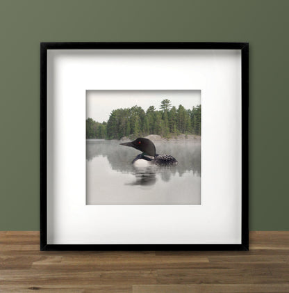 Lake Loon Fine Art Print, Unframed